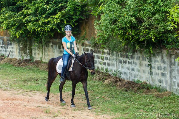 phuket-horse-riding-10
