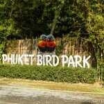 Phuket Bird Park. Парк птиц на Пхукете