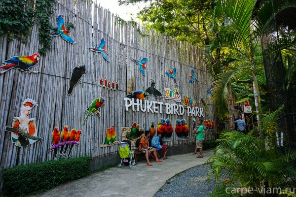 phuket-bird-park-15