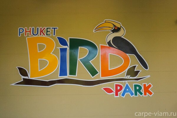 phuket-bird-park-2